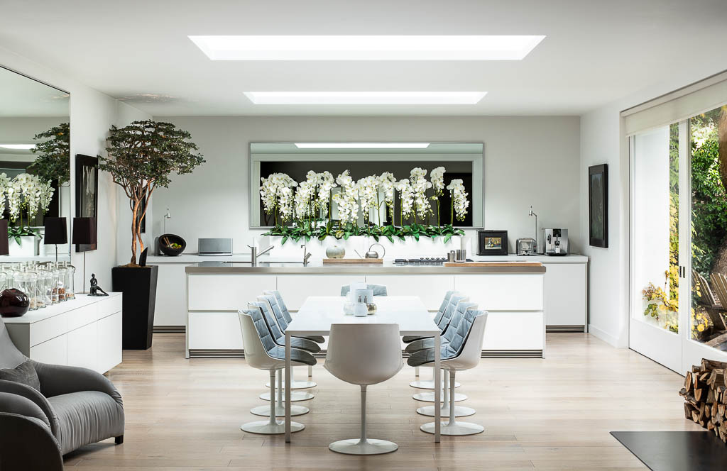 Black + Blue Waterloo